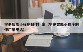 乐山宁乡智能小程序制作厂家（宁乡智能小程序制作厂家电话）