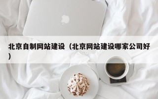 乐山北京自制网站建设（北京网站建设哪家公司好）